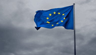 Massive wildfires across Europe. Can the EU’s support hold the line?