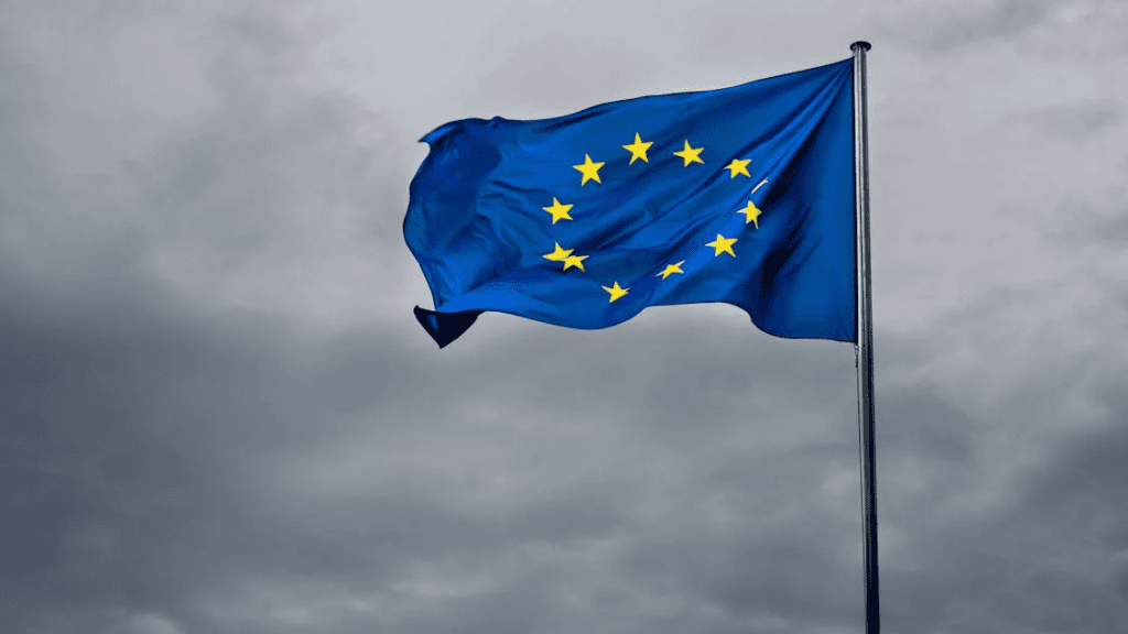 Massive wildfires across Europe. Can the EU’s support hold the line?