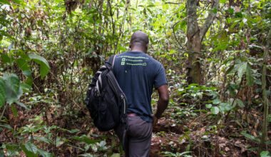 EU advises DR Congo against oil drilling in "Green Corridor"