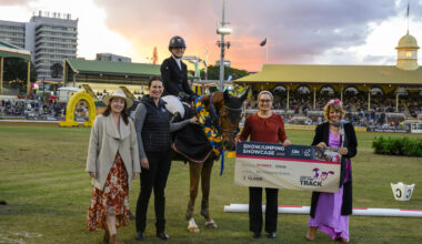 Koko writes his own success story in QOTT Showjumping Showcase :: Racing Queensland
