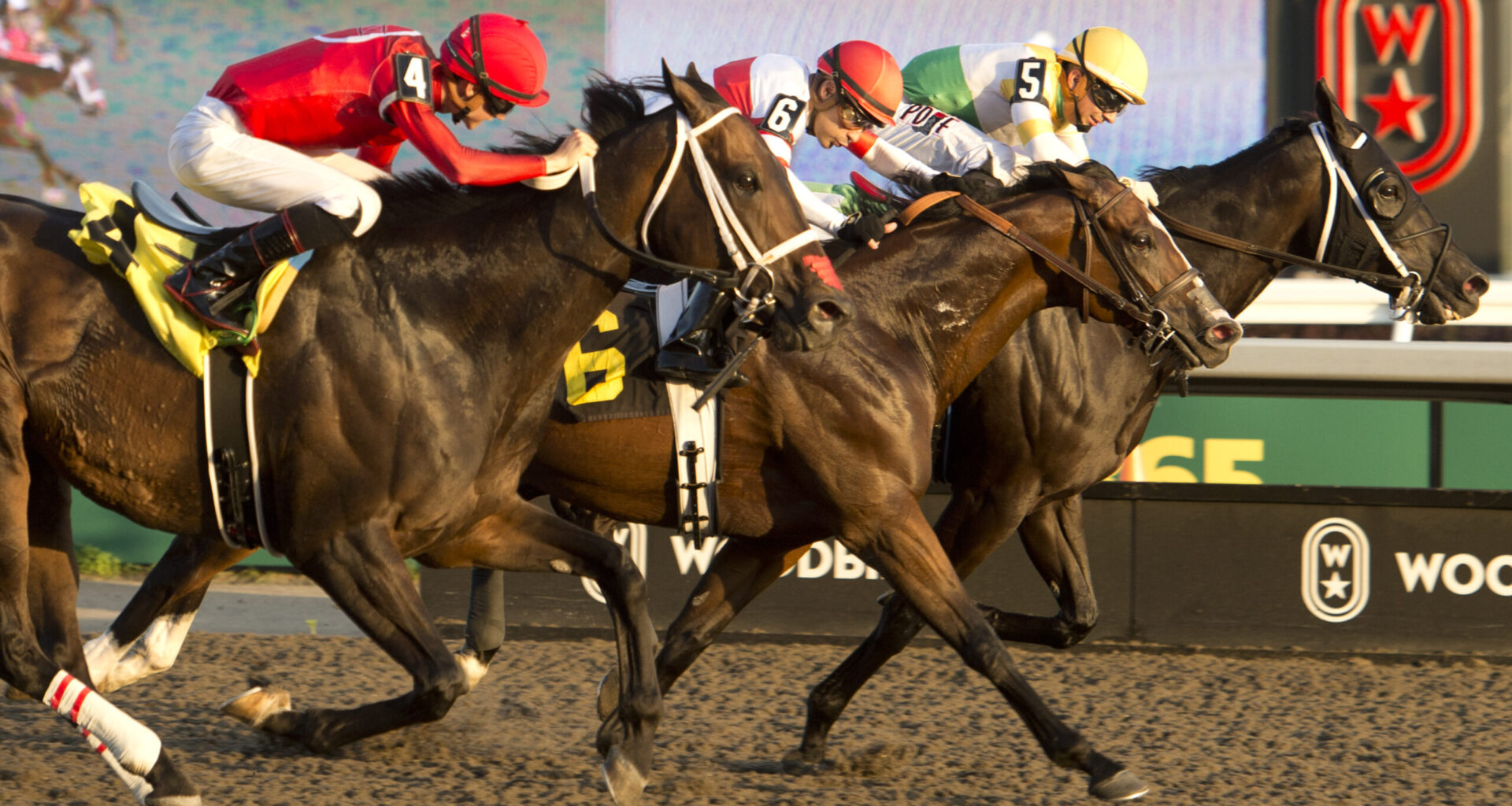 Vassilieva says Bold Venture’s 6½ furlongs the perfect distance for her trainee Simcoe