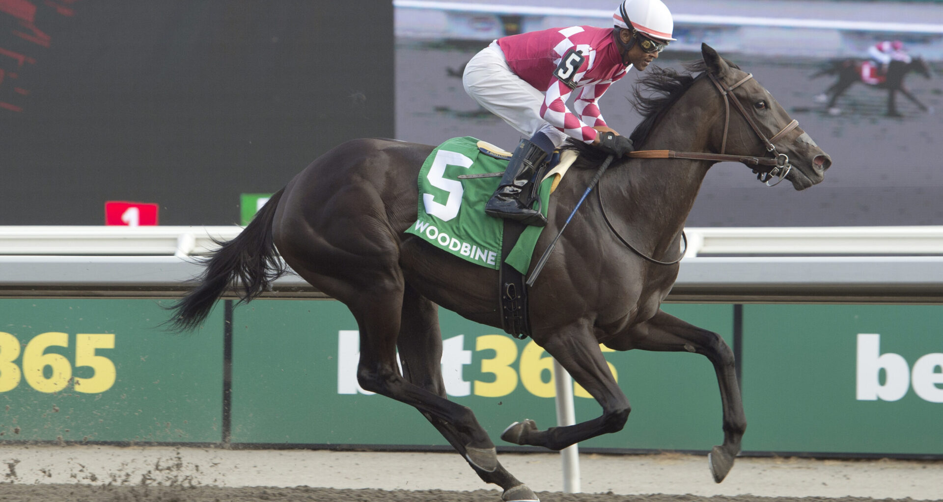 Great eight: Winterberry gives both Casse and Husbands their eighth Bison City wins