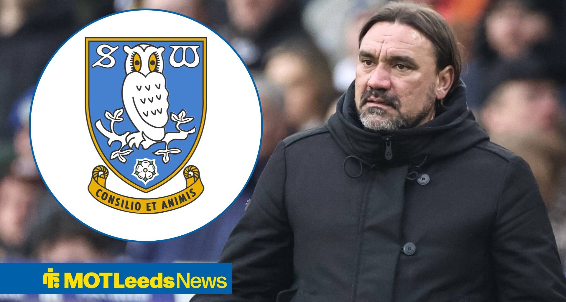 Sheffield Wednesday boycott details ahead of Leeds United showdown at Hillsborough