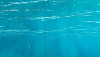 1 kW system lands in the ocean