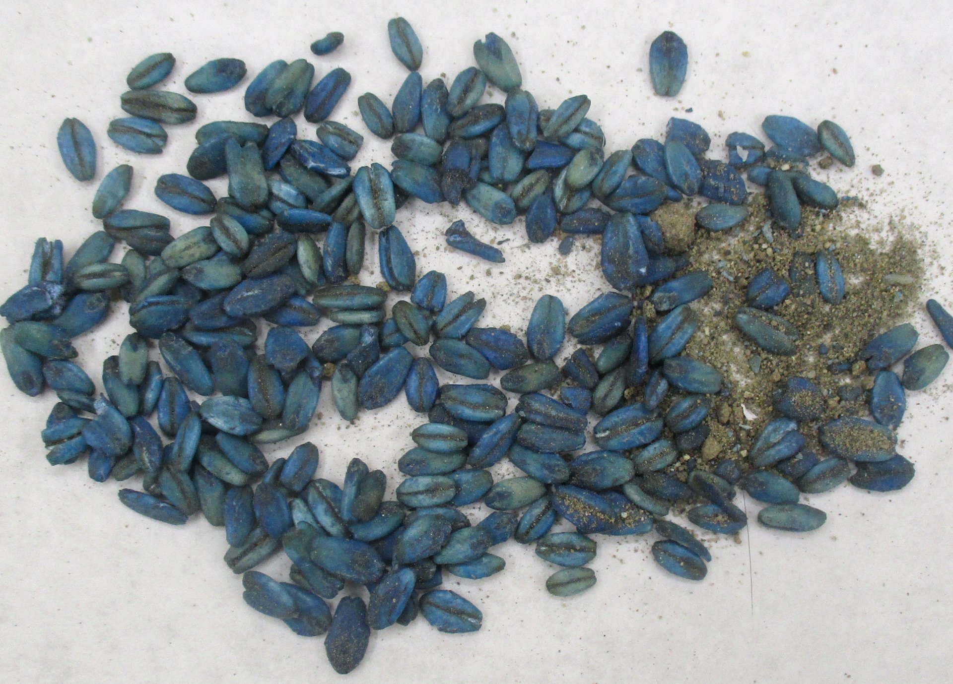 Diphacinone Bait Rodenticide California