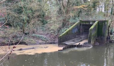 The 2,000 London homes pumping waste straight into the rivers