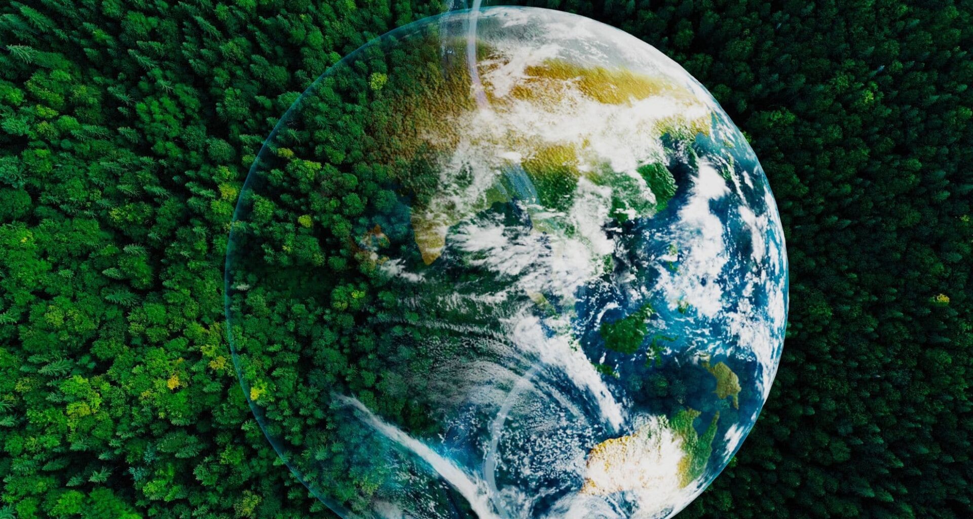 Earth Is Greener Than Ever, But The Oceans Are Losing Their Battle