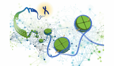 Scientists answer a 20-year-old question in epigenetics
