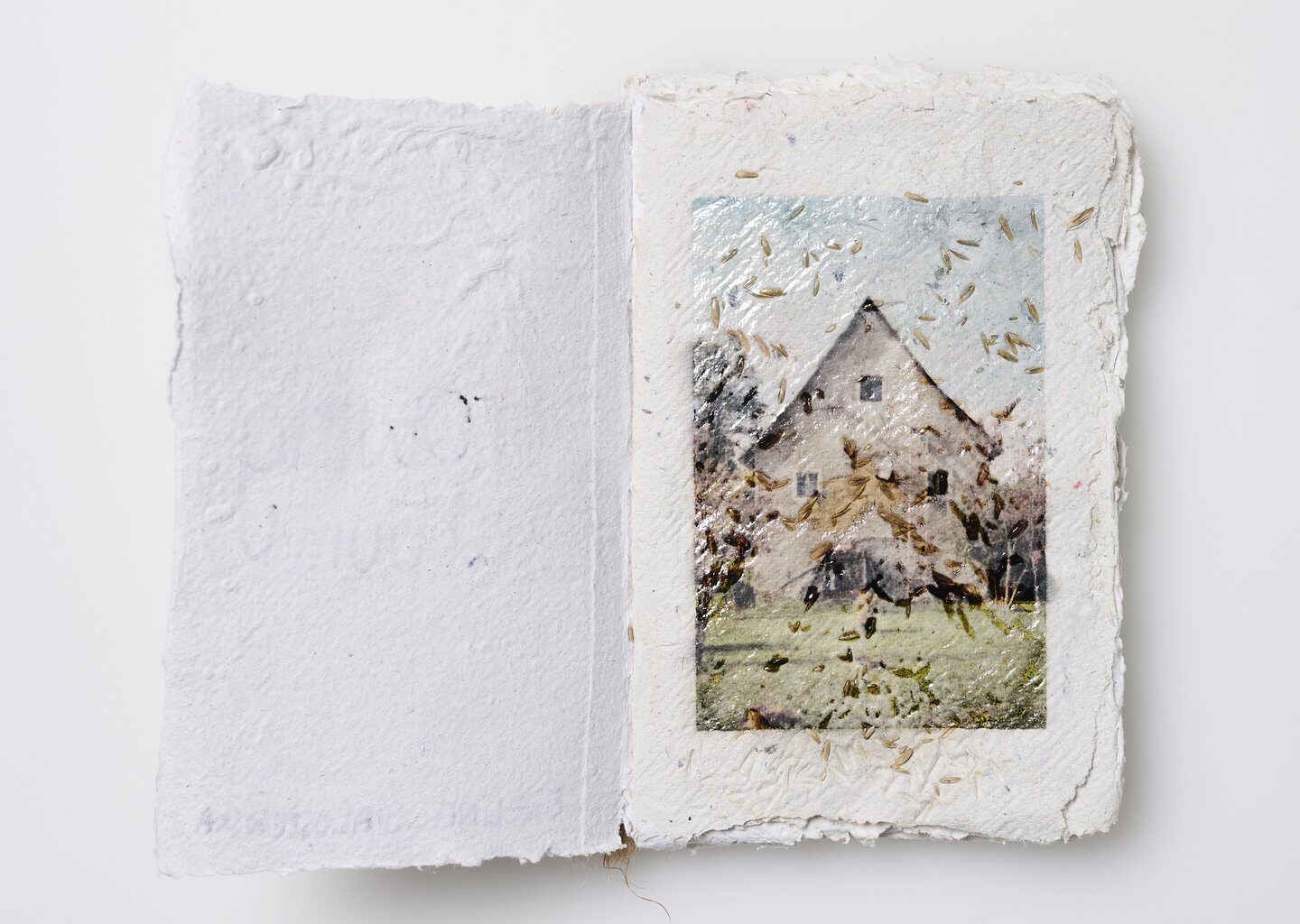 This plantable photobook was designed to grow out of the ground