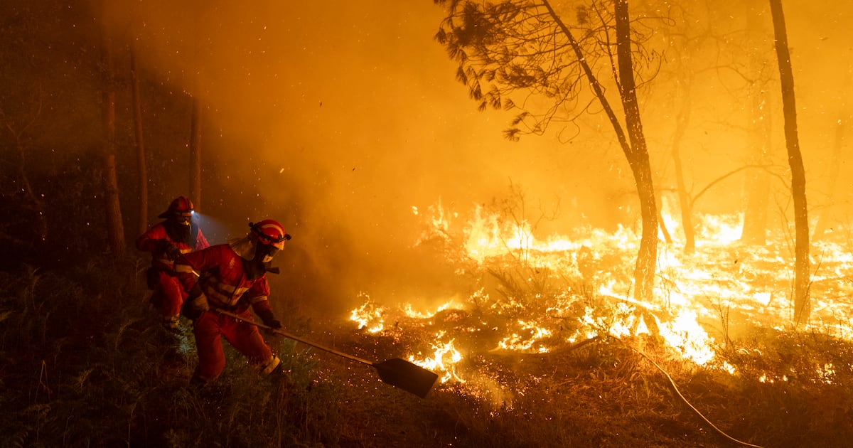 Spain’s wildfires ignite political spat as government searches for solutions – The Irish Times