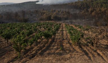 France battles biggest wildfire in seven decades, as winemakers point to loss of ‘fire break’ vineyards – The Irish Times