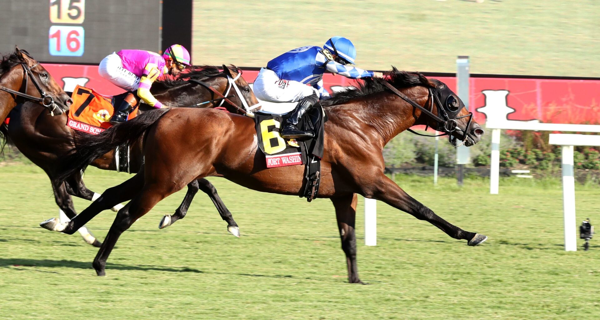 2025 Festival of Racing at Colonial Downs Sees Record Prize Money, Wagering in Virginia