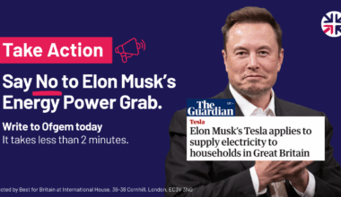 Take Action: Stop Elon Musk's Energy Power Grab