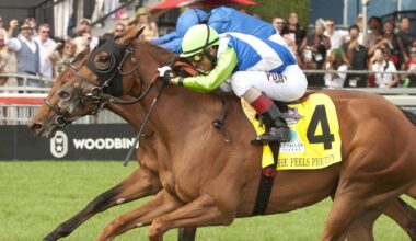 Fillies She Feels Pretty, Nitrogen, Velocity star in weekend racing