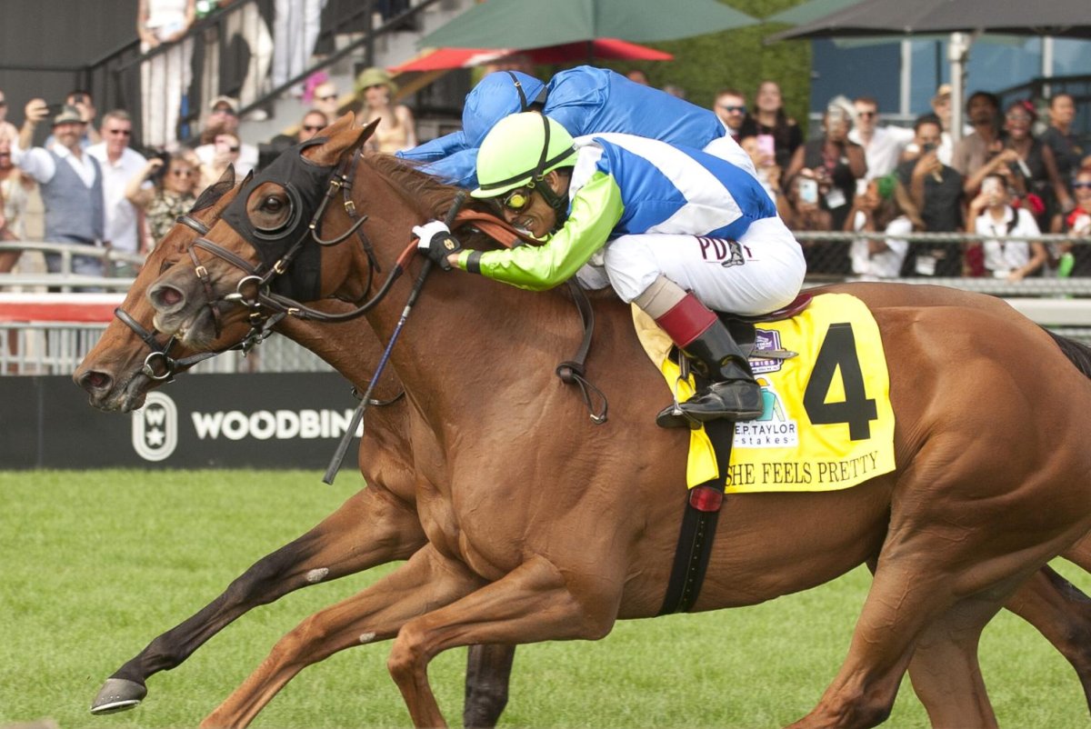 Fillies She Feels Pretty, Nitrogen, Velocity star in weekend racing