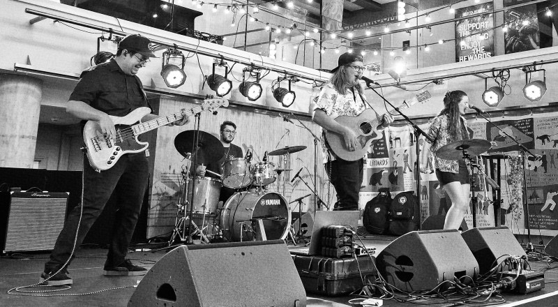 A photograph of the band Firewoodisland on stage at the Bristol Beacon
