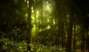 When spider scientists went into a Taiwanese forest at night, they discovered a deadly trap