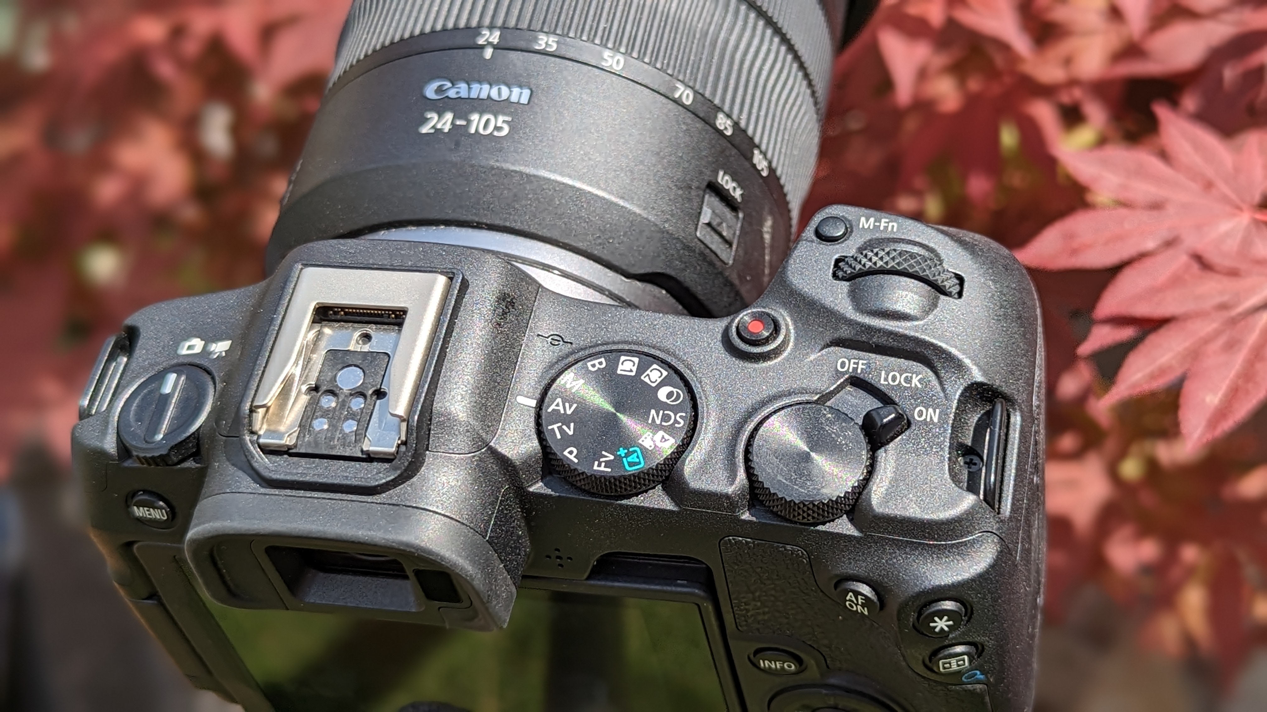 Top view of the Canon EOS R8
