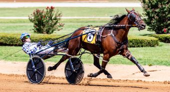 All eyes on Gala’s first foray into Championship Series action at The Red Mile – U.S. Trotting News