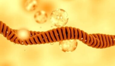 Genetic Insights into Echinococcus from Greece and Neighbors