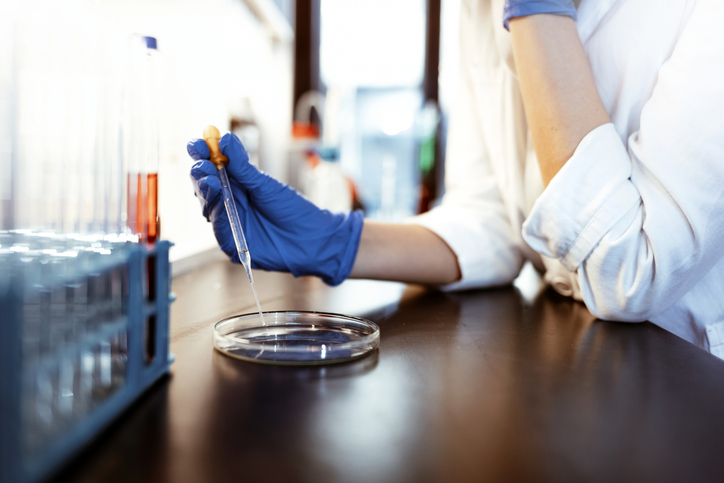 female scientist examining microbiome culture plate.