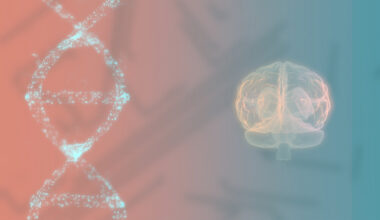 3d image of the human brain and DNA spiral on colorful screen.