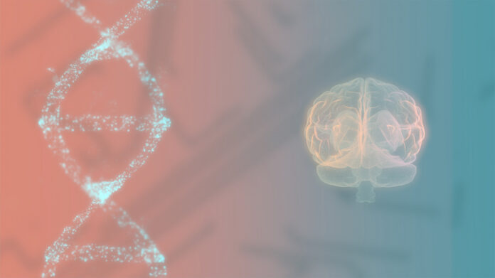 3d image of the human brain and DNA spiral on colorful screen.