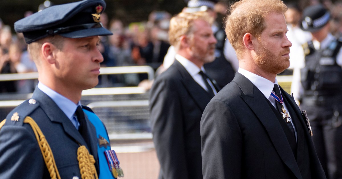 Why Prince Harry & Prince William Will Never Get Princess Diana’s Home