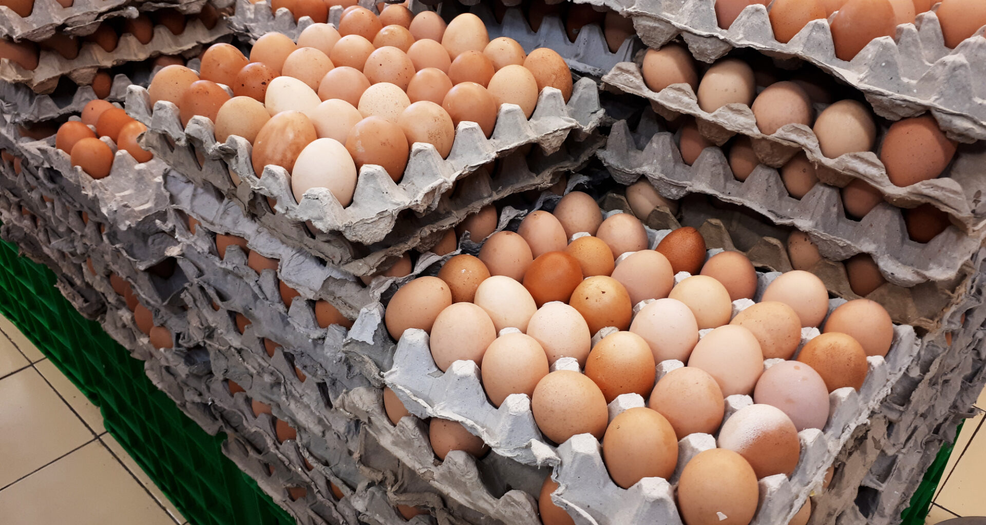 Paris urges EU action over banned antibiotics in Ukrainian eggs