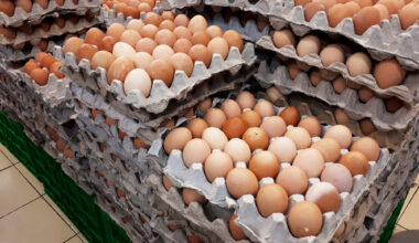 Paris urges EU action over banned antibiotics in Ukrainian eggs