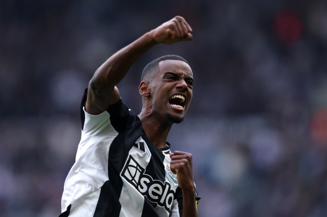 Newcastle United FC v Ipswich Town FC - Premier League