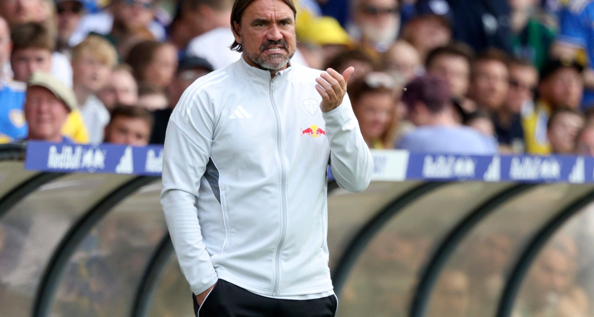 Rob Green shocks everyone with his Daniel Farke prediction for Leeds United’s Premier League return