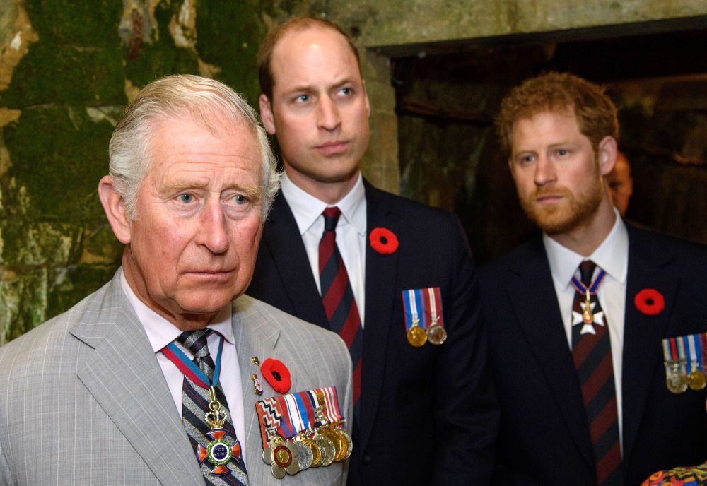 GettyImages-666488466 prince harry prince william rift different beast than charles beef