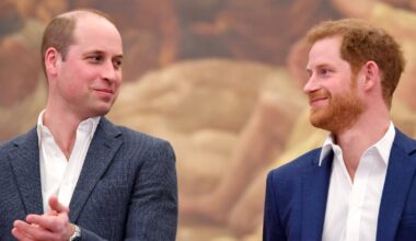 Former Royal Staffers Share Stories About Princes Harry and William