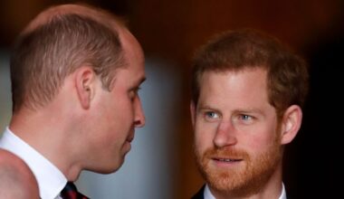 Why We May Never See William and Harry as a "United Family" in Public