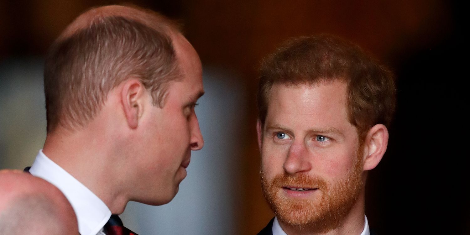 Why We May Never See William and Harry as a "United Family" in Public