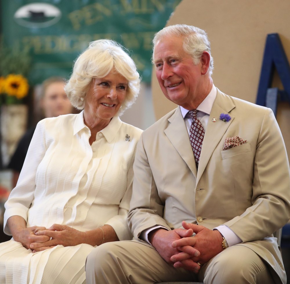 Former Royal Butler Seemingly Contradicts Prince Harry's Account of King Charles and Camilla’s Romance
