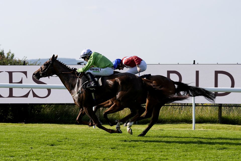 Arisaig has been chalked up at around 7/1 for the Dubai Duty Free Shergar Cup Mile Handicap at Ascot. Photo: Getty