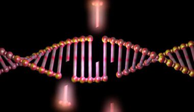 Global gene editing market to reach USD 22B – Medical Buyer