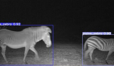 Global networks advance wildlife research