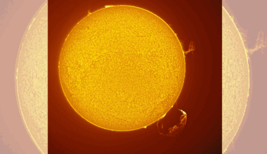 A large solar prominence (bottom right) bursts from the sun while a plasma tornado (top right) rages nearby