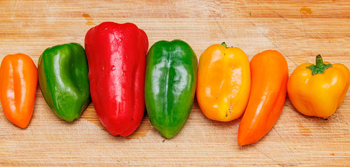 Gene discovery could make pepper breeding easier
