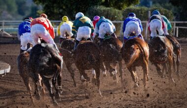 Wexford Racing Round-Up