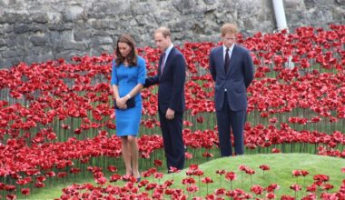 William, Catherine and Harry visit Tower of London poppy installation • The Crown Chronicles