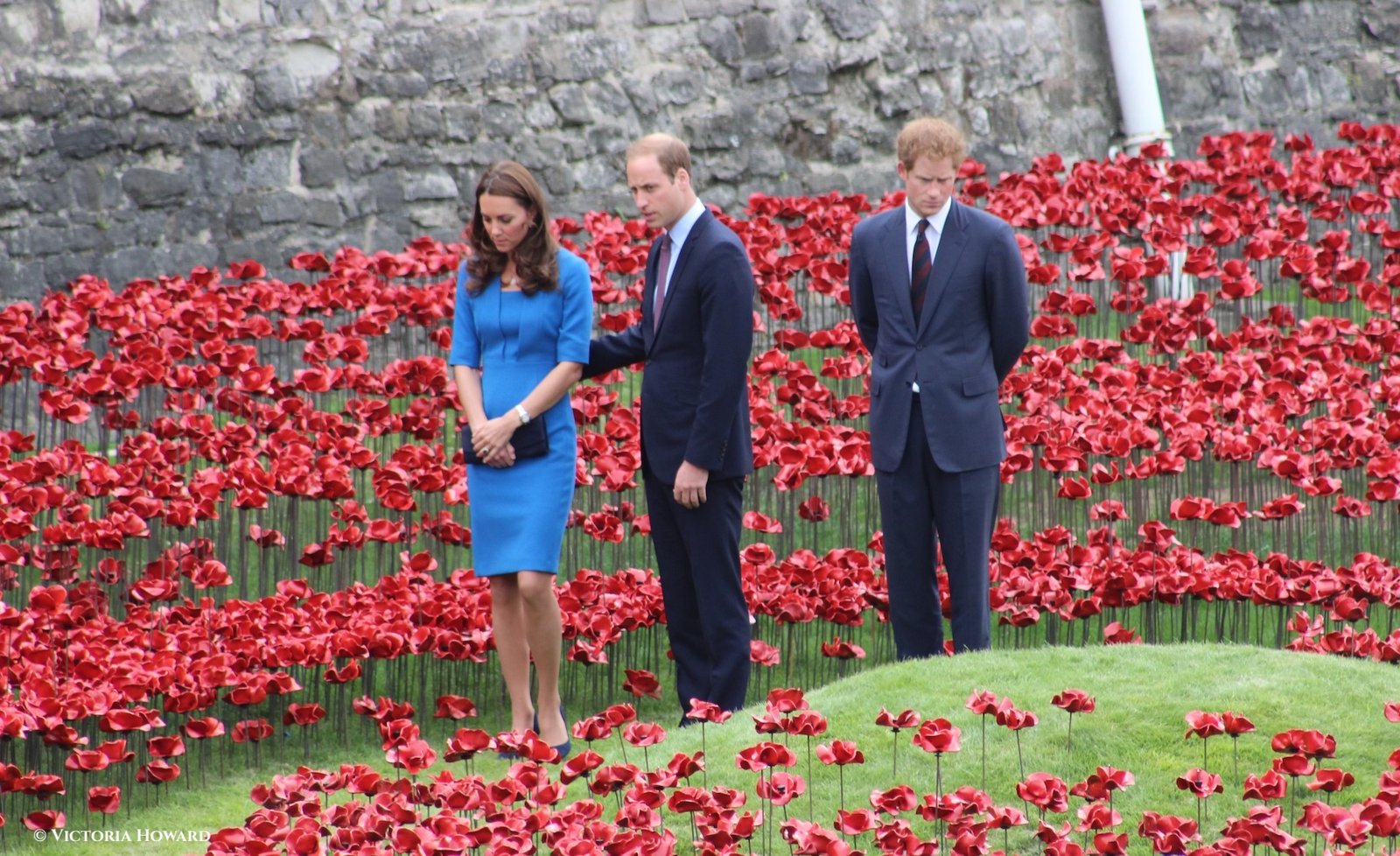 William, Catherine and Harry visit Tower of London poppy installation • The Crown Chronicles