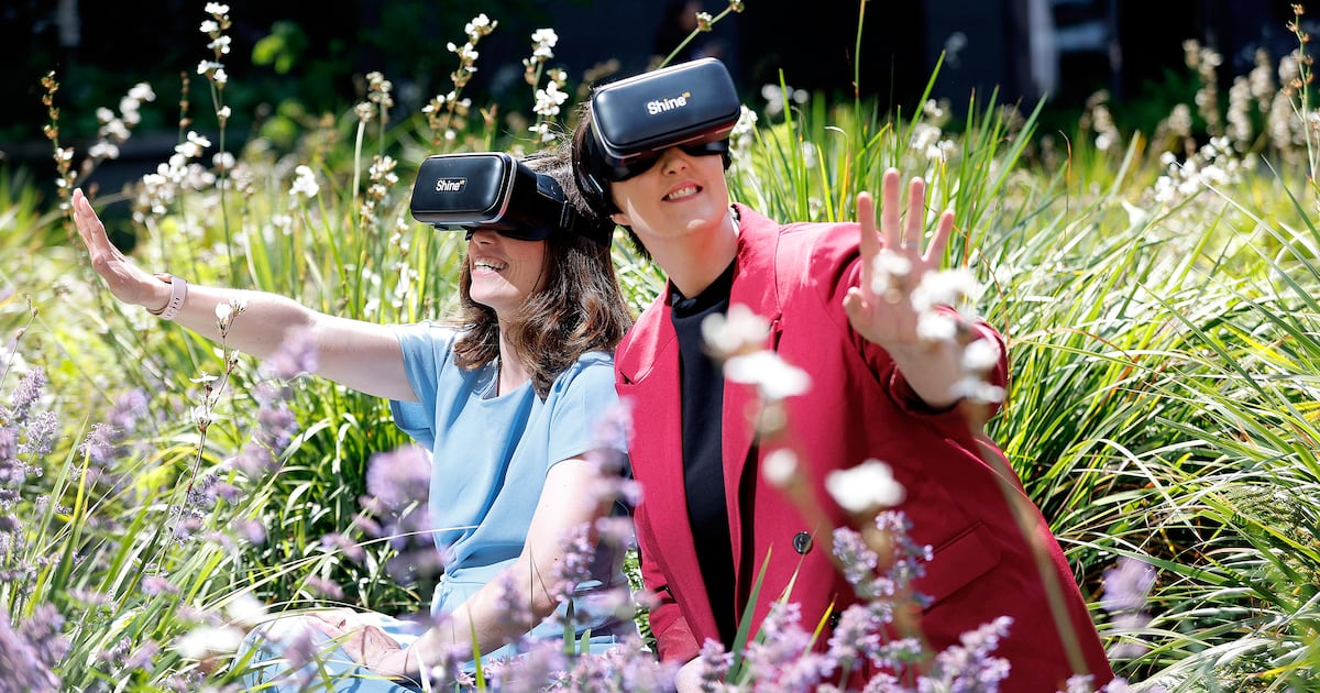 From virtual reality for pain to digital diagnostic systems – The Irish Times