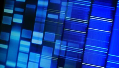 Study: Parent-of-origin effects on complex traits in up to 236,781 individuals. Image Credit: isak55 / Shutterstock