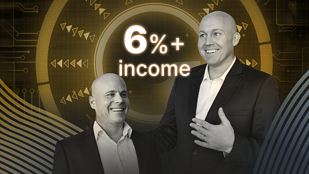 2 income portfolios delivering 6%+ p.a. consistently (they're yours to download) - Vishal Teckchandani