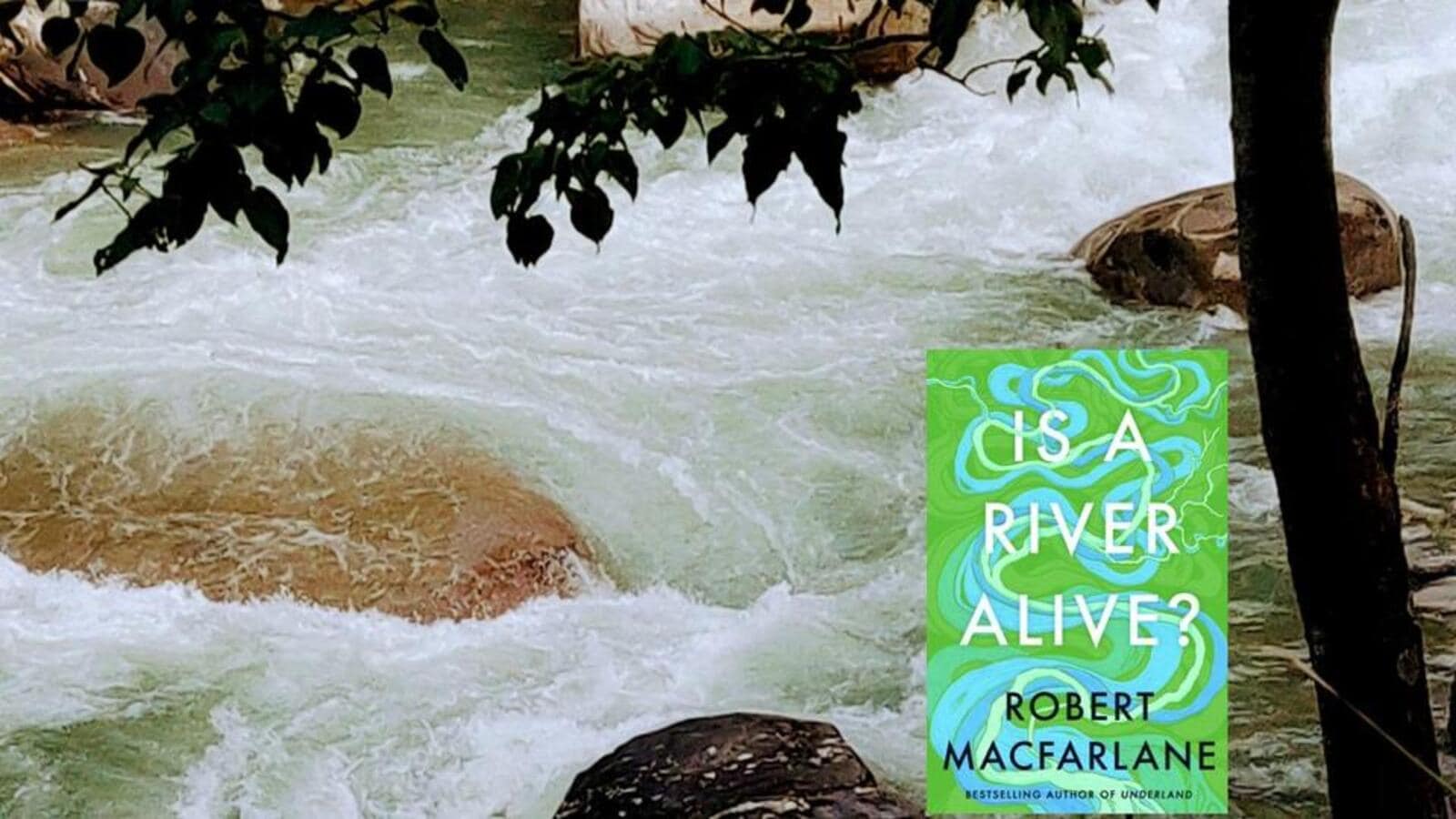 Book Box | A river, alive and angry