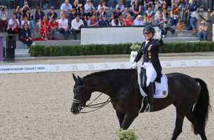 Germany Wins European Dressage Championship Gold, Great Britain Silver, Denmark Bronze